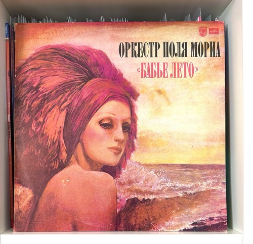 оркестр поля - Оркестр,